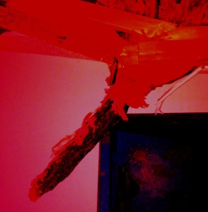 red-limb-in-cieling